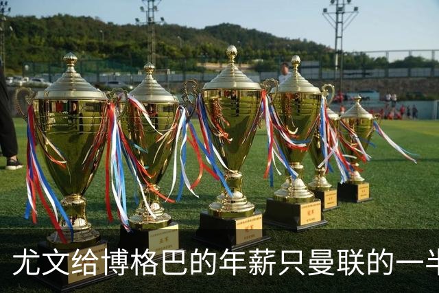 尤文给博格巴的年薪只曼联的一半 他不着急做决定