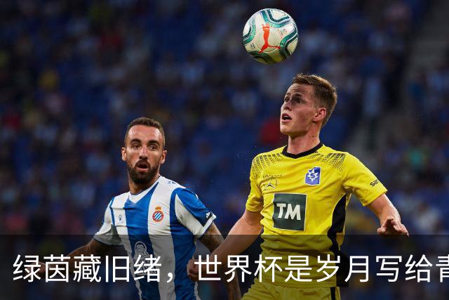 绿茵藏旧绪，世界杯是岁月写给青春的信