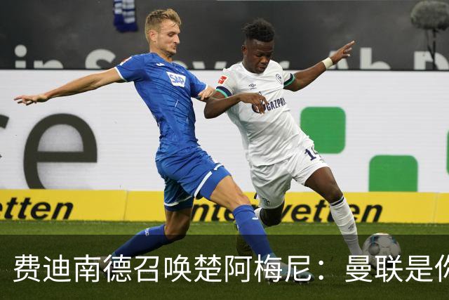 费迪南德召唤楚阿梅尼：曼联是你的唯一归宿，想成事的话就来吧！